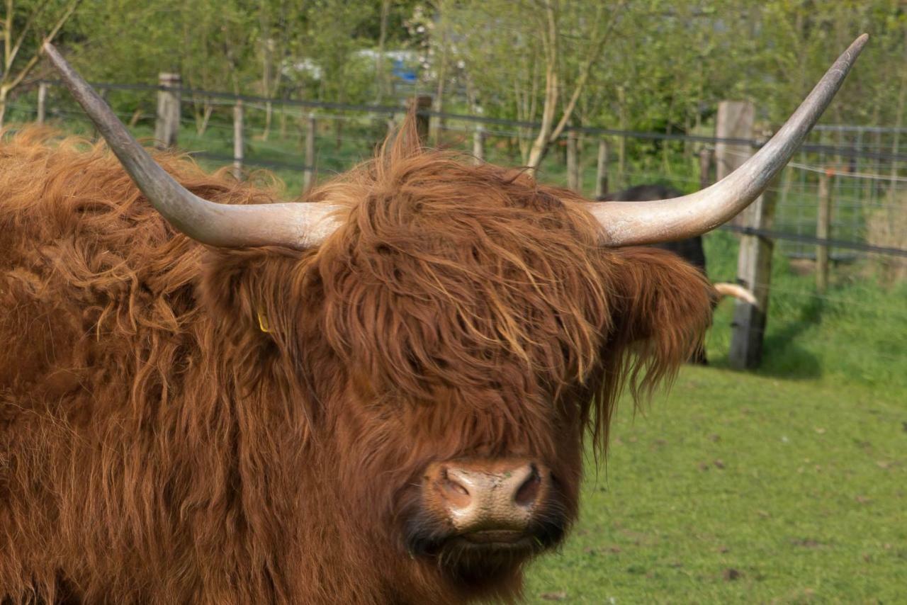 Boeren Biezen Bed Landelijk Villa Eksteriør billede