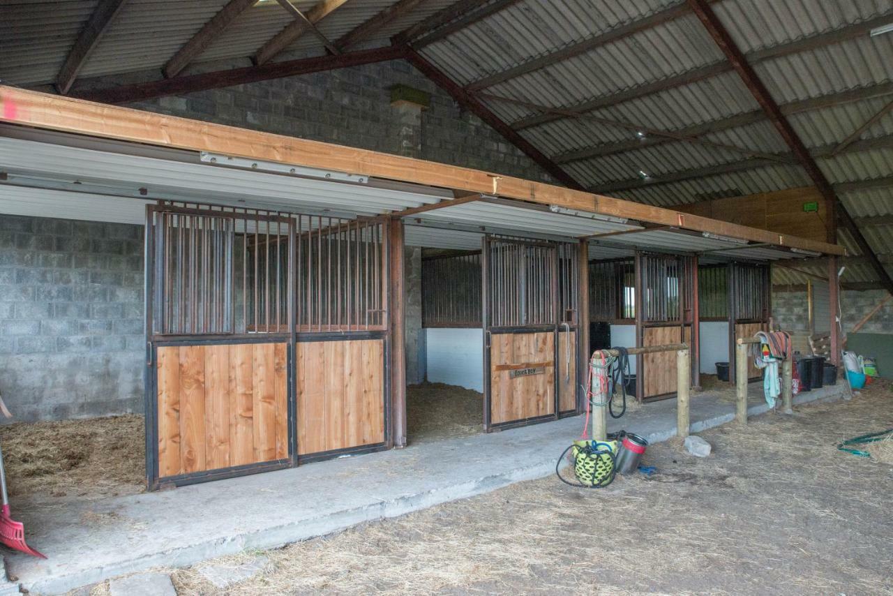 Boeren Biezen Bed Landelijk Villa Eksteriør billede