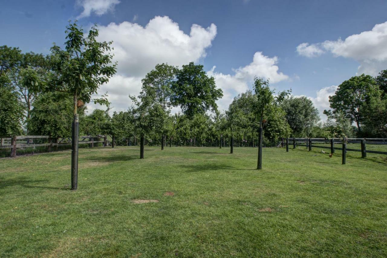 Boeren Biezen Bed Landelijk Villa Eksteriør billede