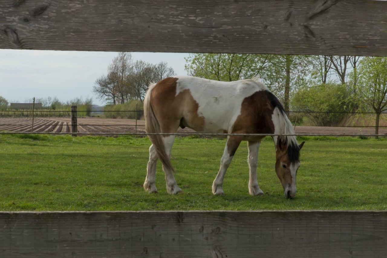 Boeren Biezen Bed Landelijk Villa Eksteriør billede