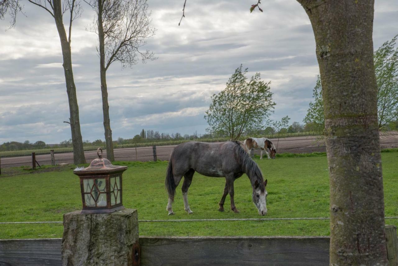 Boeren Biezen Bed Landelijk Villa Eksteriør billede