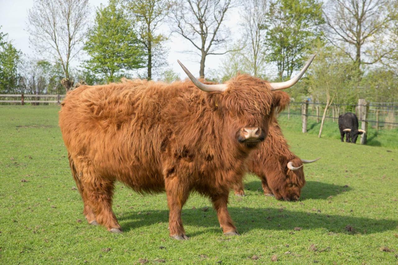 Boeren Biezen Bed Landelijk Villa Eksteriør billede