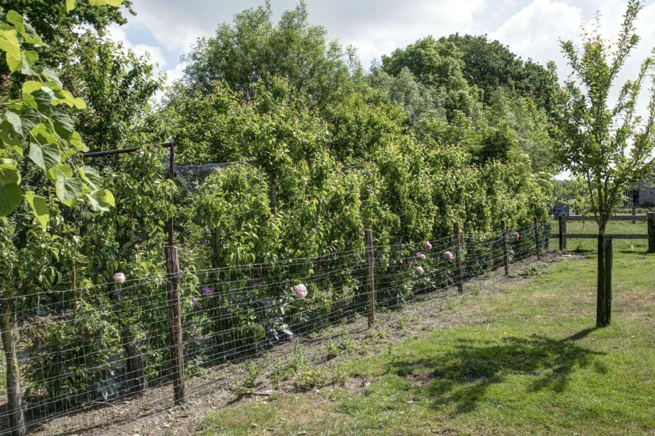 Boeren Biezen Bed Landelijk Villa Eksteriør billede