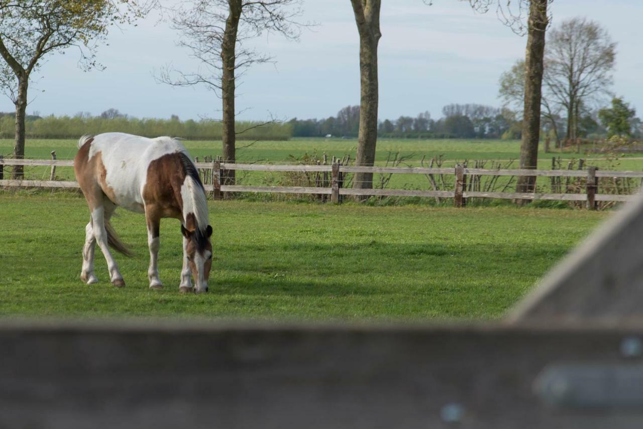 Boeren Biezen Bed Landelijk Villa Eksteriør billede